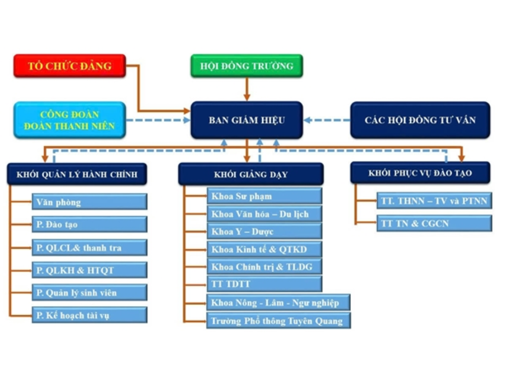 Cơ cấu tổ chức